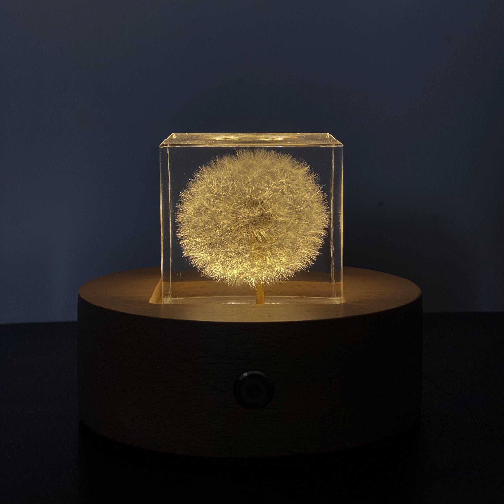 Dandelion Cube Light - Zen Zone Decor