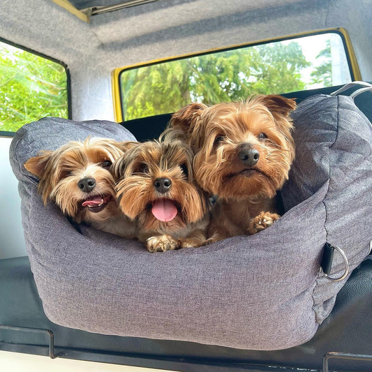 Travel Dog Car Seat For Safety