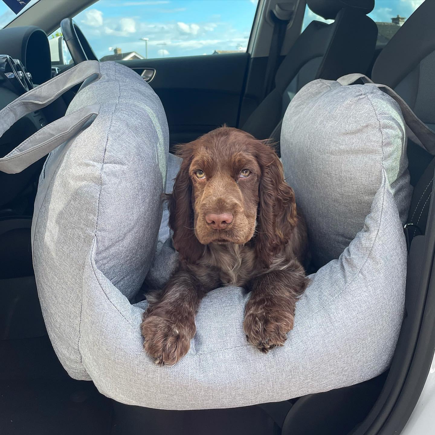 Travel Dog Car Seat For Safety