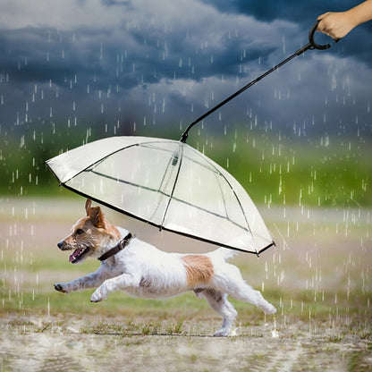 Dog Transparent Umbrella Leash